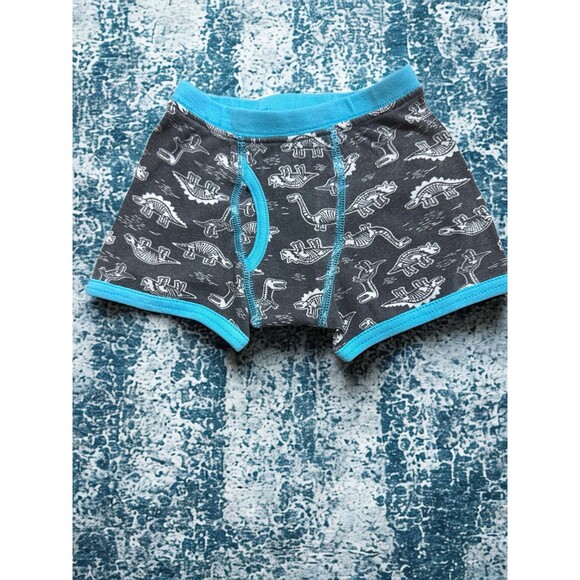 4T-5T Boxer Brief Set - Picture 2 of 4